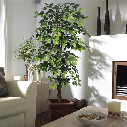 Making a Statement: Why Plants are Essential in Home Decor