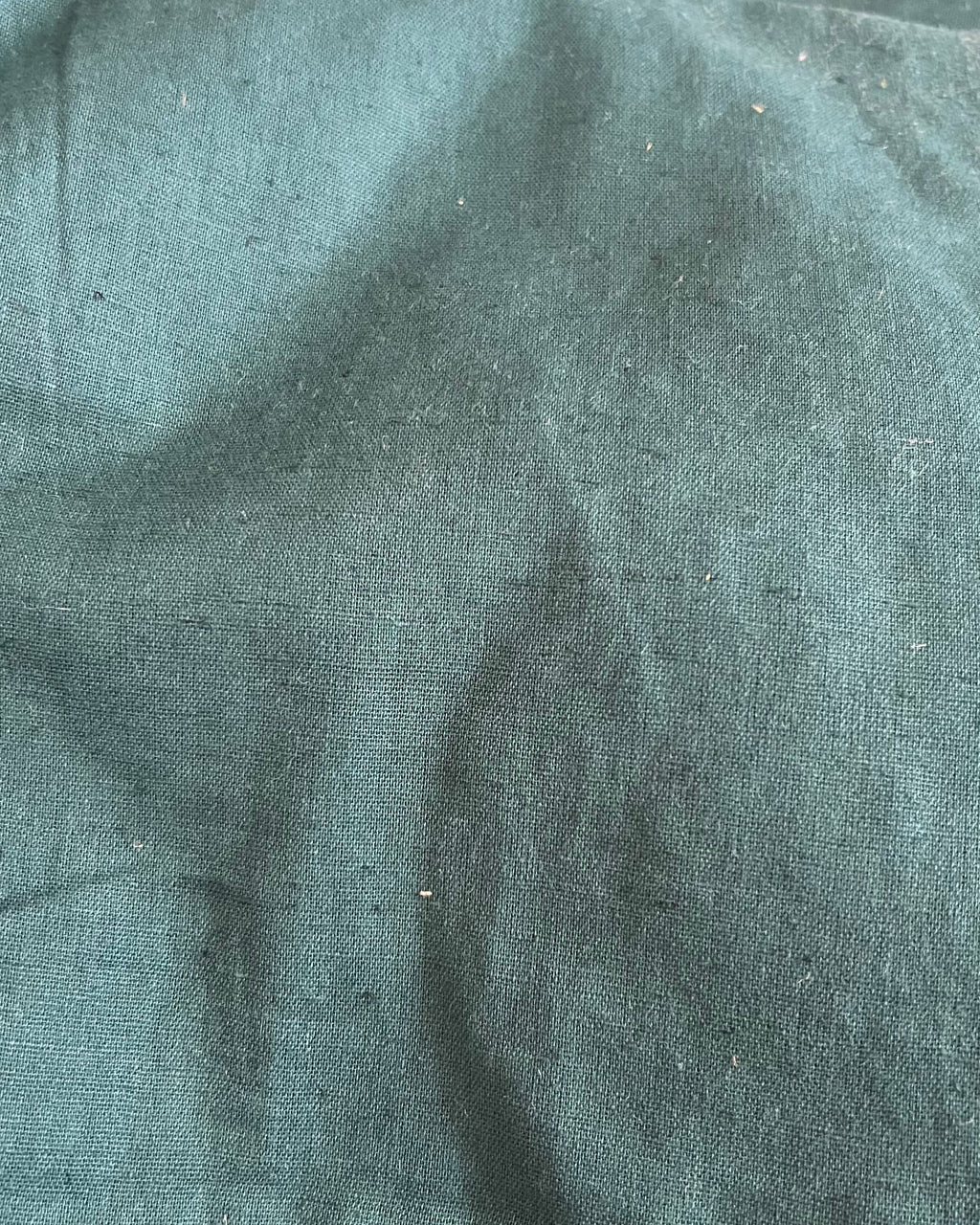 Solid Cotton Fabric Swatch