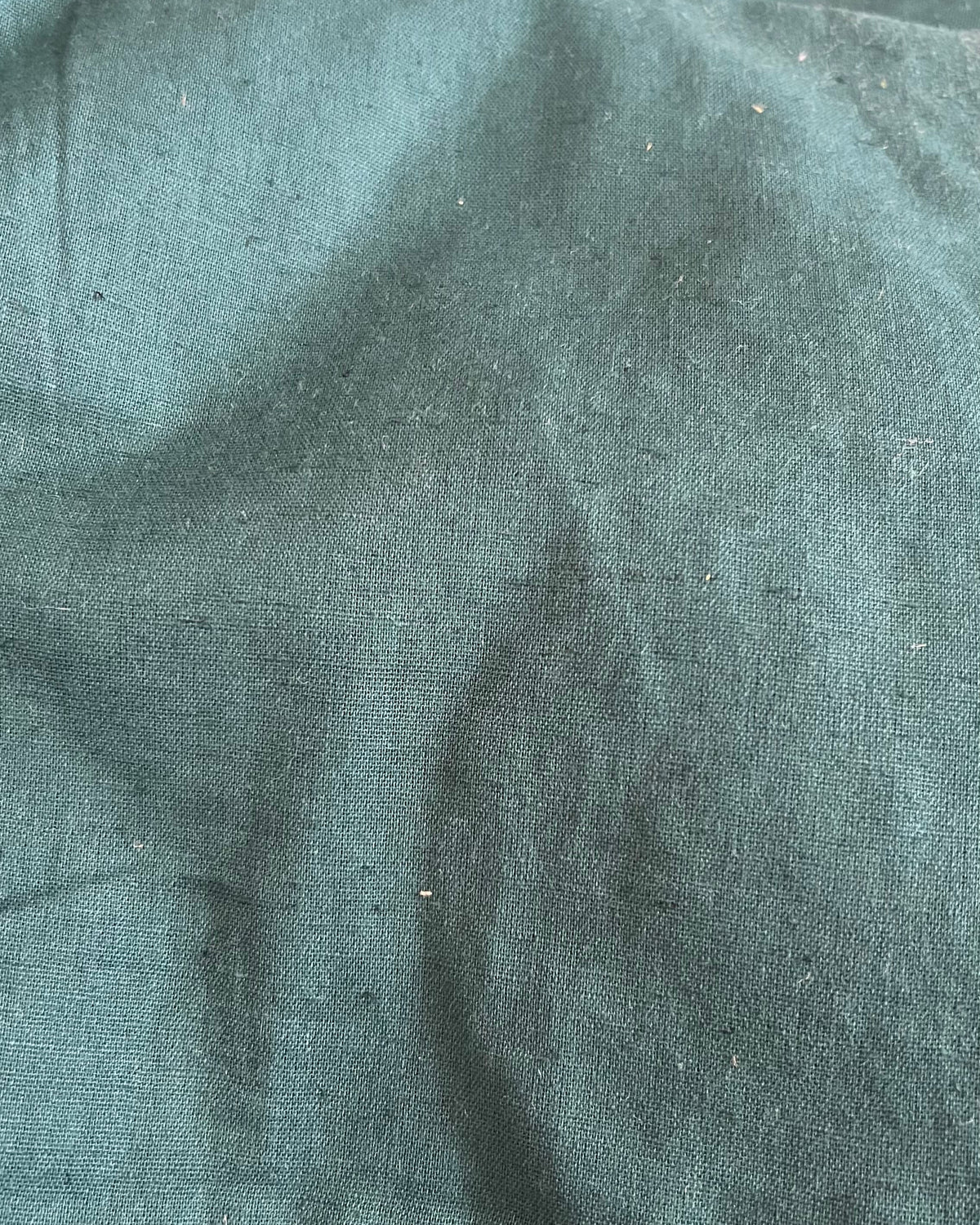 Solid Cotton Fabric Swatch
