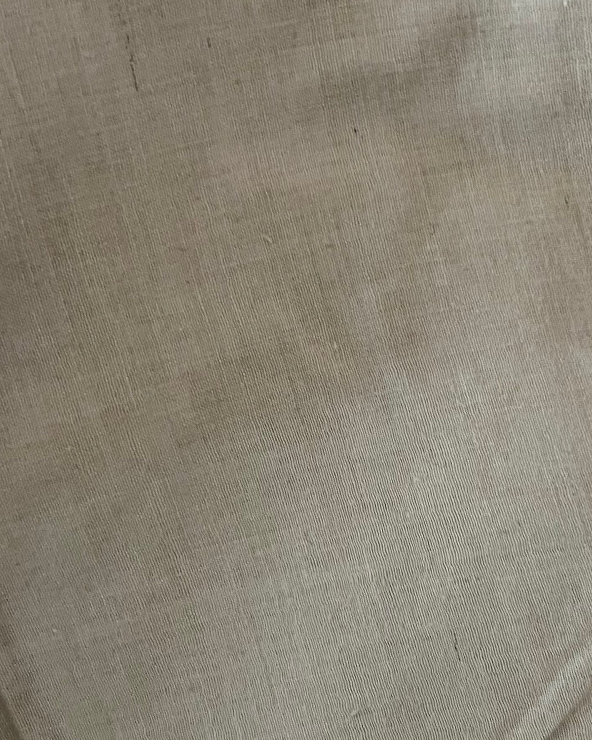 Solid Cotton Fabric Swatch