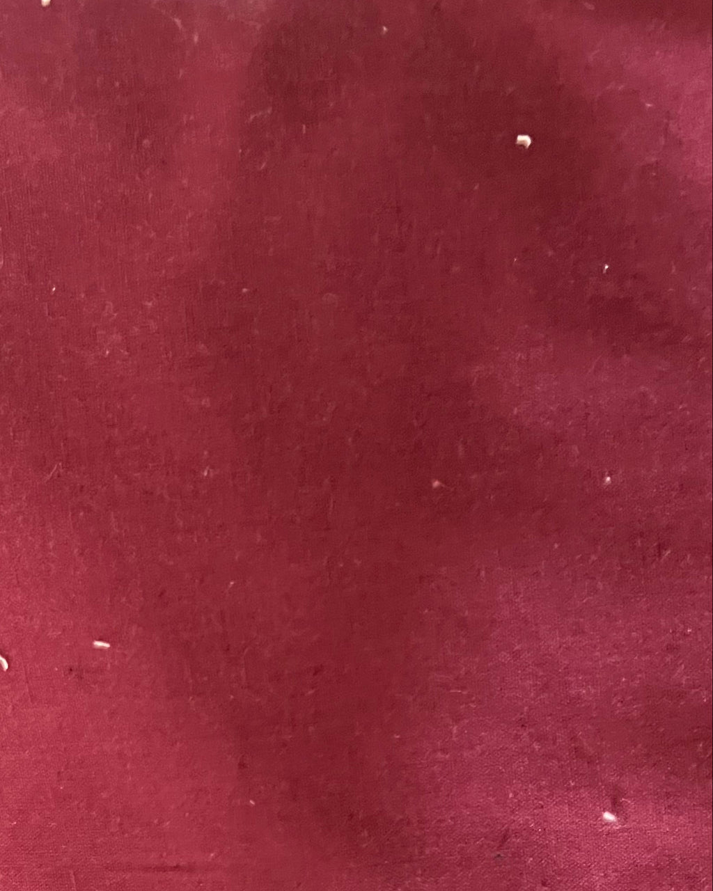 Solid Cotton Fabric Swatch