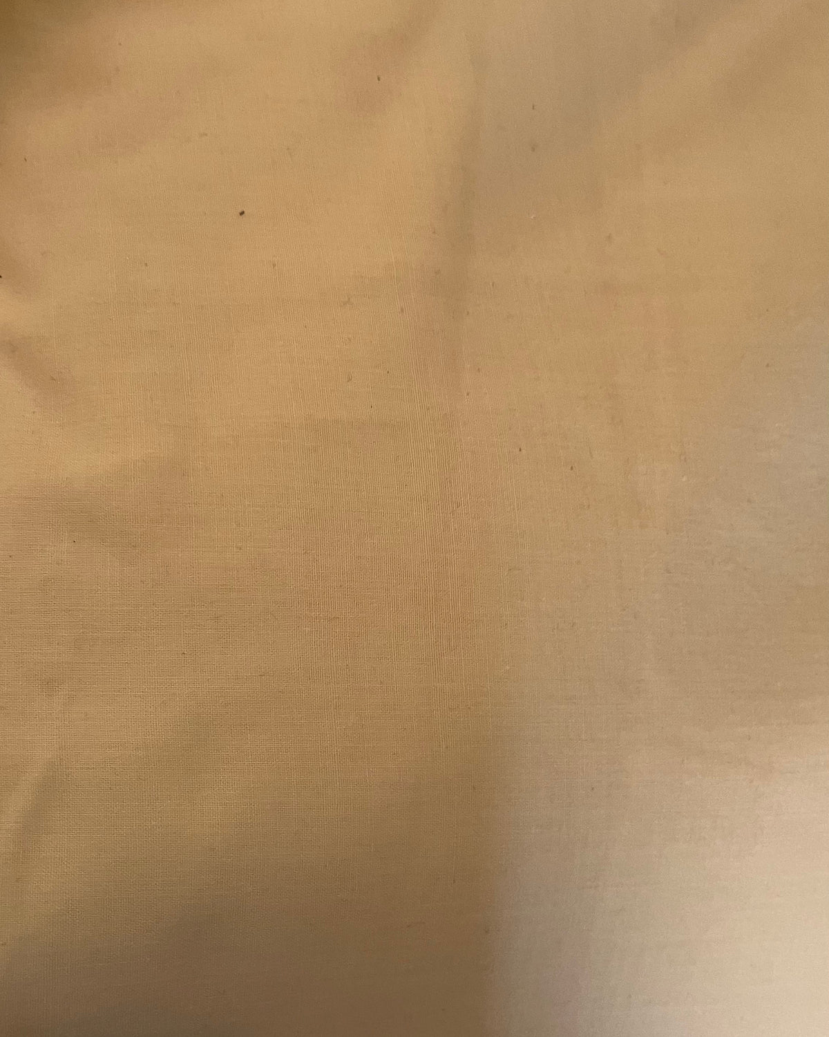 Solid Cotton Fabric Swatch