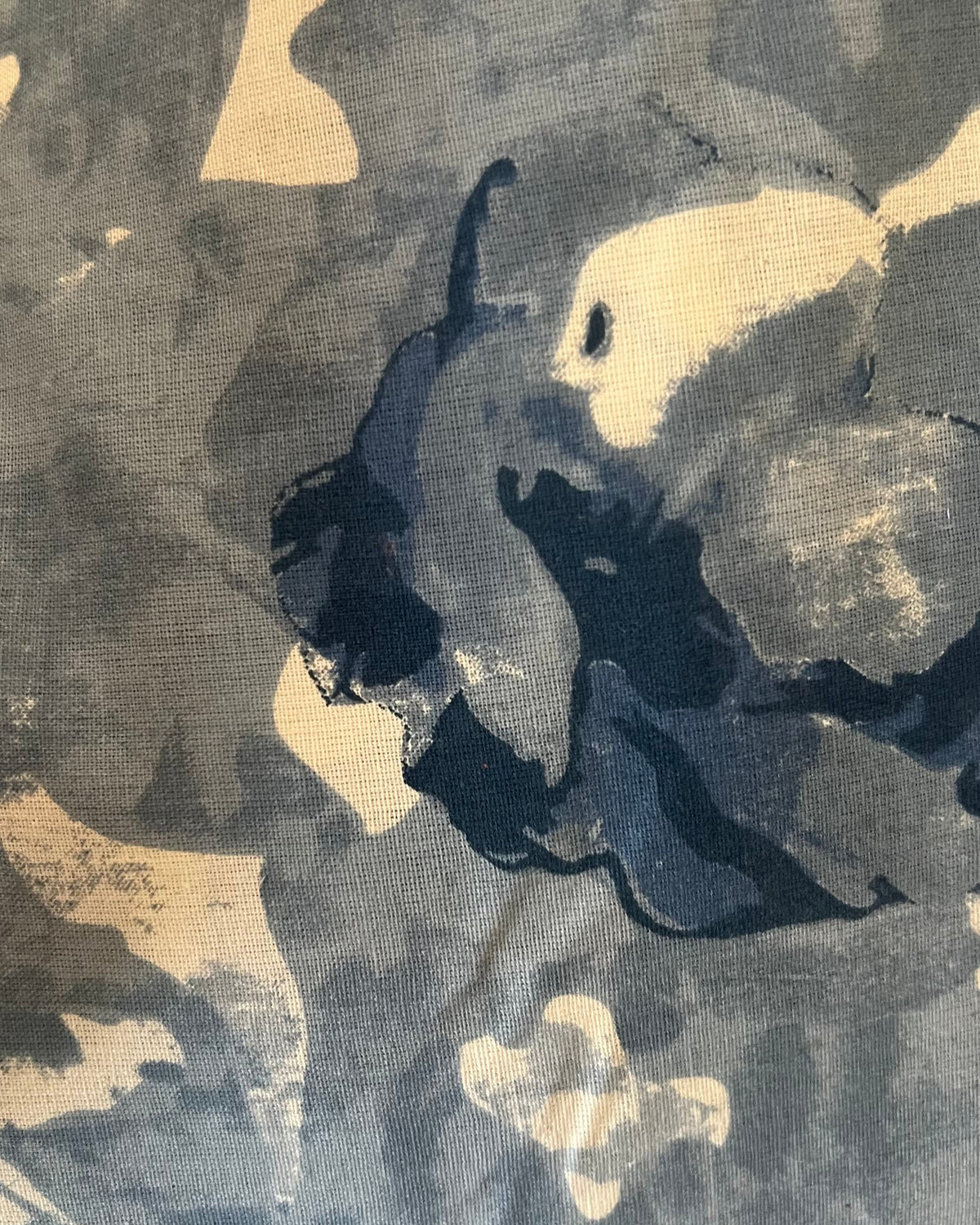 Printed Cotton Fabric Swatch