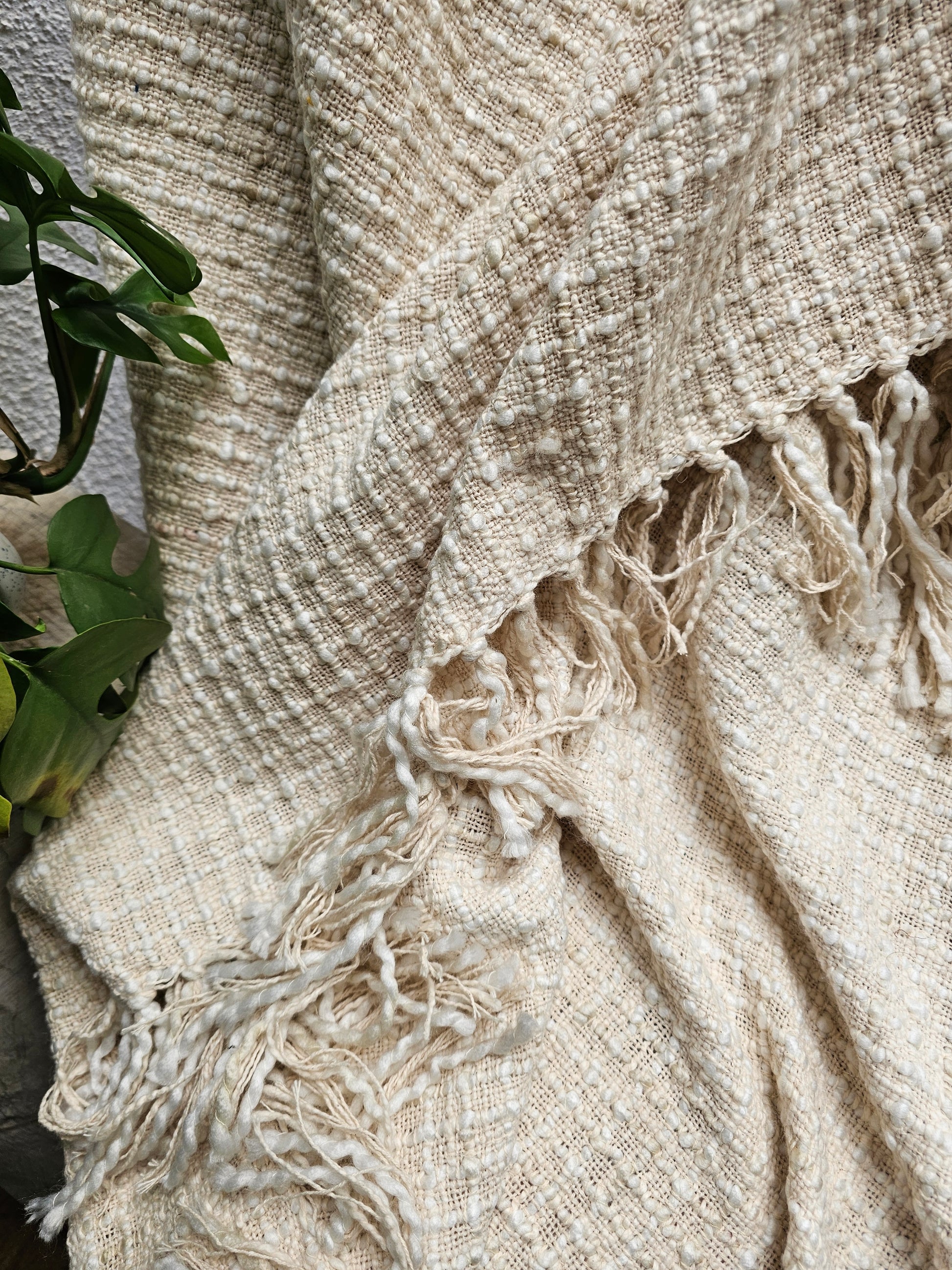 Textured beige blanket with tassels on a neutral background